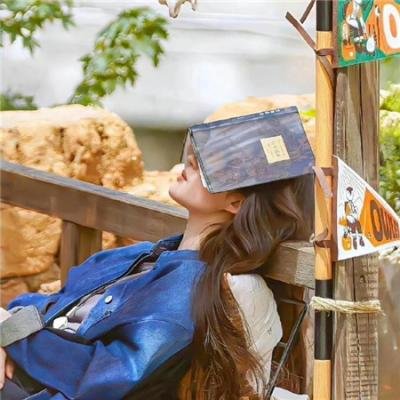 大搜查之女粤语