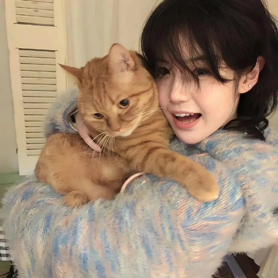 双面千金洛莞莞